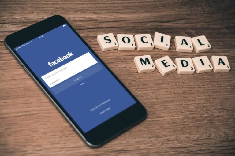 firmbee social media 763731 1920