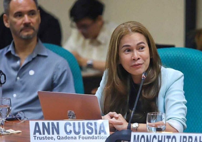 Tech CEO raises concerns over proposed DICT-Meta National ID age verification 8 Ann senate