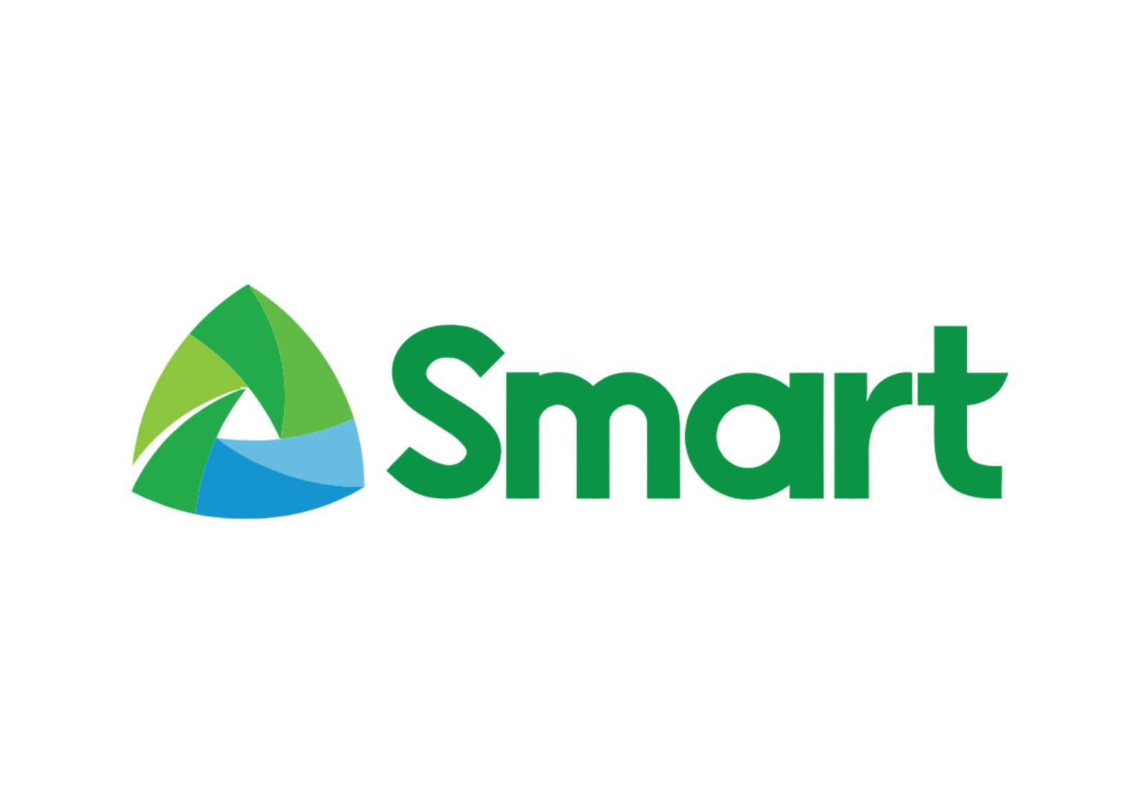 Smart to validate NTC findings, commits to network improvements